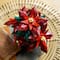 LEGO® Botanicals Poinsettia Plant Decor Building Set 10370